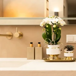 LA GREEN TOUCH - Le chic - pot décoratif blanc avec détails dorés