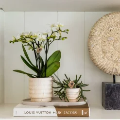 LA GREEN TOUCH - Marble light - pot décoratif en céramique