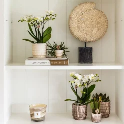 LA GREEN TOUCH - Marble light - pot décoratif en céramique