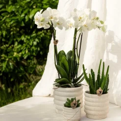 LA GREEN TOUCH - Marble light - pot décoratif en céramique