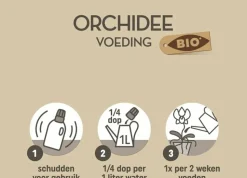 LA GREEN TOUCH - Nutrition bio pour orchidées - alimentation naturelle