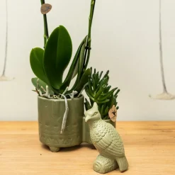 LA GREEN TOUCH - Ornement décoratif cockatoo vert