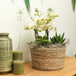 LA GREEN TOUCH - Panier reed tressé naturel - sierschaal