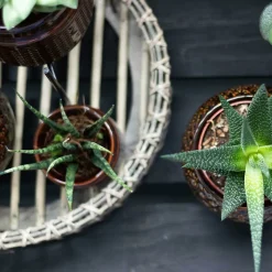 LA GREEN TOUCH - Plateau de décoration en bambou