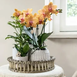 LA GREEN TOUCH - Plateau de décoration en bambou