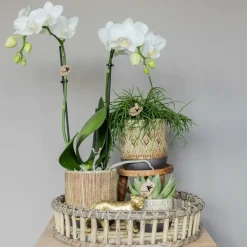 LA GREEN TOUCH - Plateau de décoration en bambou