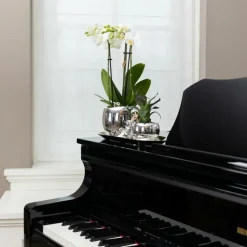 LA GREEN TOUCH - Plateau ovale argenté