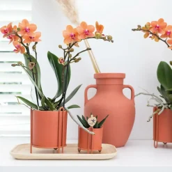 LA GREEN TOUCH - Plateau ovale en bambou