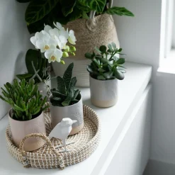 LA GREEN TOUCH - Plateau tressé blanc - accessoire déco