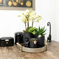 LA GREEN TOUCH - Plateau tressé noir - accessoire maison