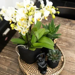 LA GREEN TOUCH - Plateau tressé noir - accessoire maison