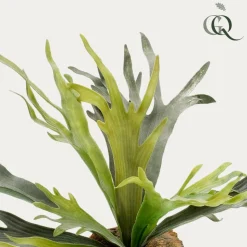 LA GREEN TOUCH - Platycerium plante artificielle- h50cm, ø15cm