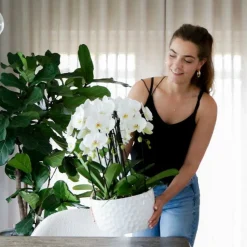 LA GREEN TOUCH - Pot à miel pour orchidées - motif alvéole