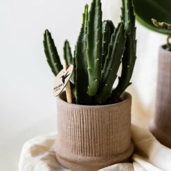 LA GREEN TOUCH - Pot bali - sable - minimaliste et élégant