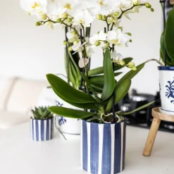 LA GREEN TOUCH - Pot céramique rayé bleu