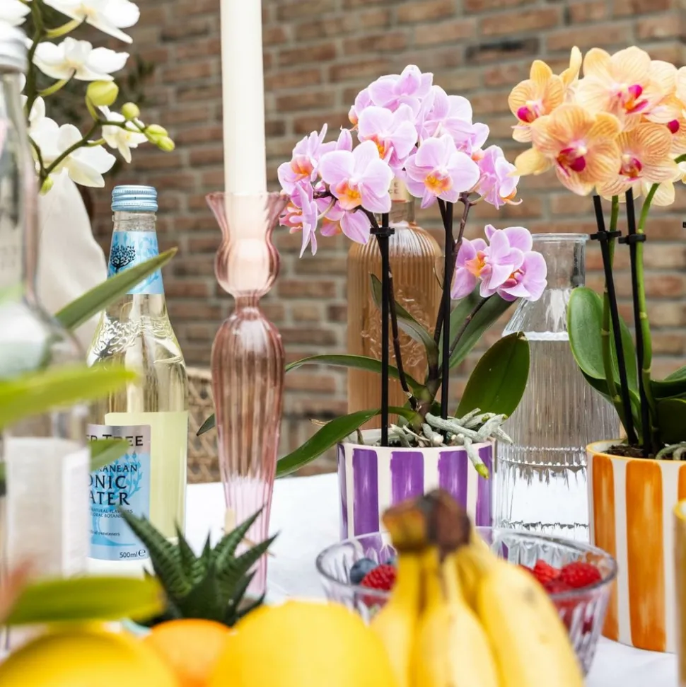 LA GREEN TOUCH - Pot décoratif à rayures oranges