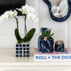 LA GREEN TOUCH - Pot décoratif candy - bleu