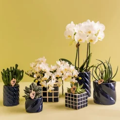 LA GREEN TOUCH - Pot décoratif candy - bleu