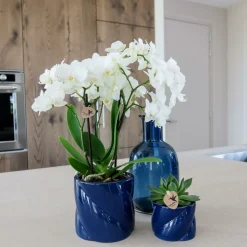 LA GREEN TOUCH - Pot décoratif candy - bleu