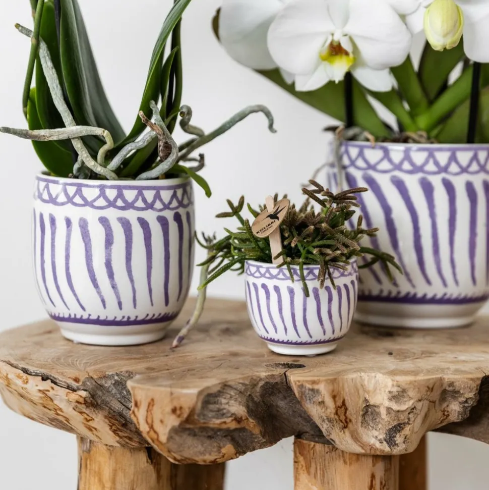 LA GREEN TOUCH - Pot décoratif granada lilas