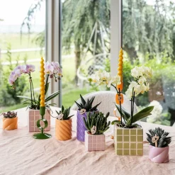 LA GREEN TOUCH - Pot décoratif mosa pink