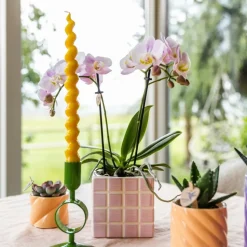 LA GREEN TOUCH - Pot décoratif mosa pink