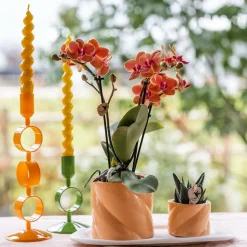 LA GREEN TOUCH - Pot décoratif candy - peach