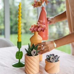 LA GREEN TOUCH - Pot décoratif candy - peach