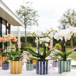 LA GREEN TOUCH - Pot décoratif painted stripe turquoise