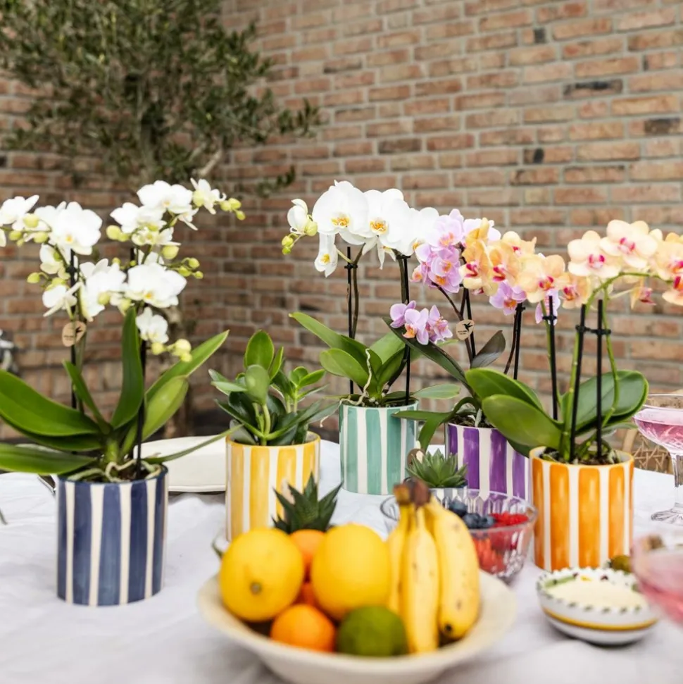 LA GREEN TOUCH - Pot décoratif painted stripe turquoise