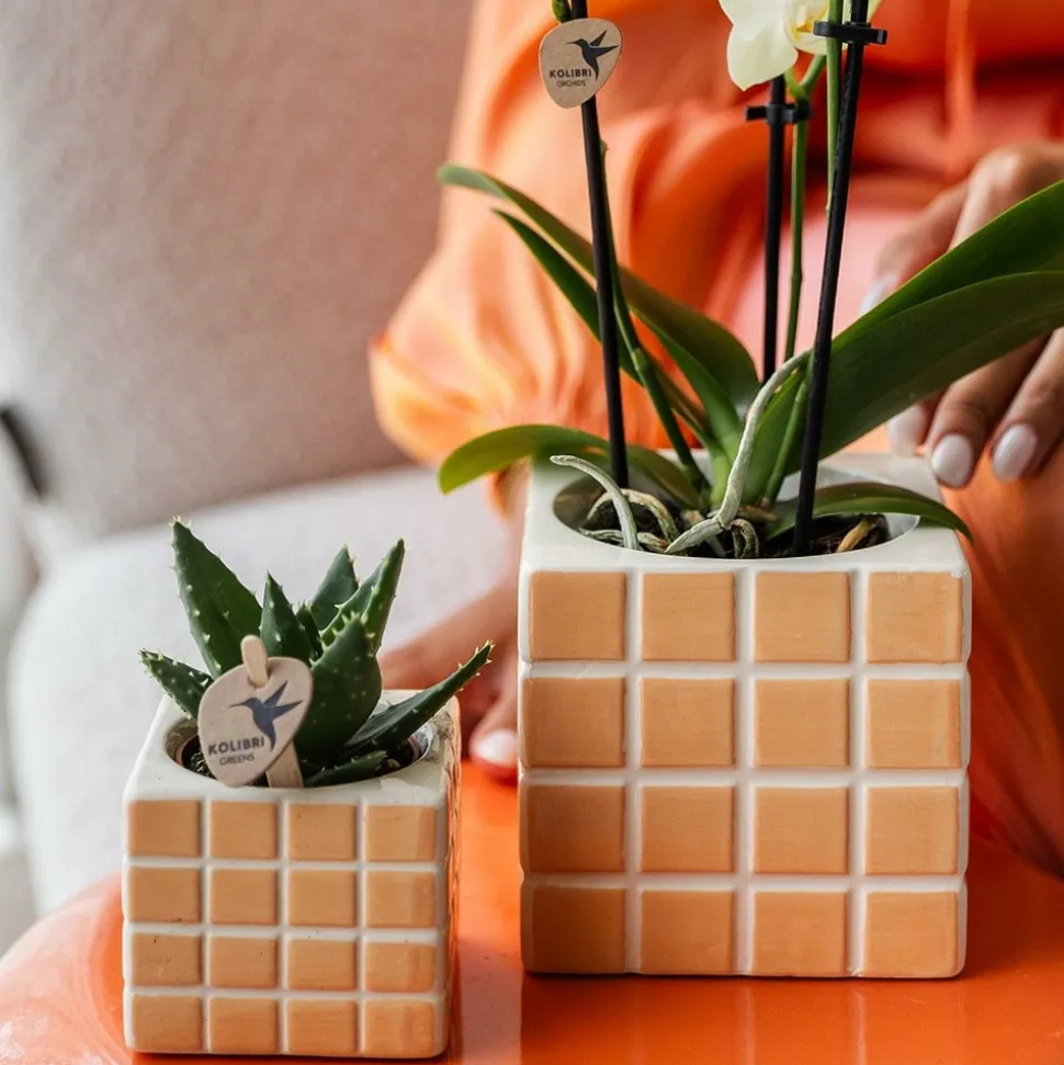 LA GREEN TOUCH - Pot décoratif mosa - orange