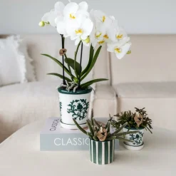 LA GREEN TOUCH - Pot décoratif painted stripe - vert