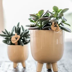 LA GREEN TOUCH - Pot décoratif gummy travertin