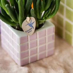 LA GREEN TOUCH - Pot décoratif mosa rose