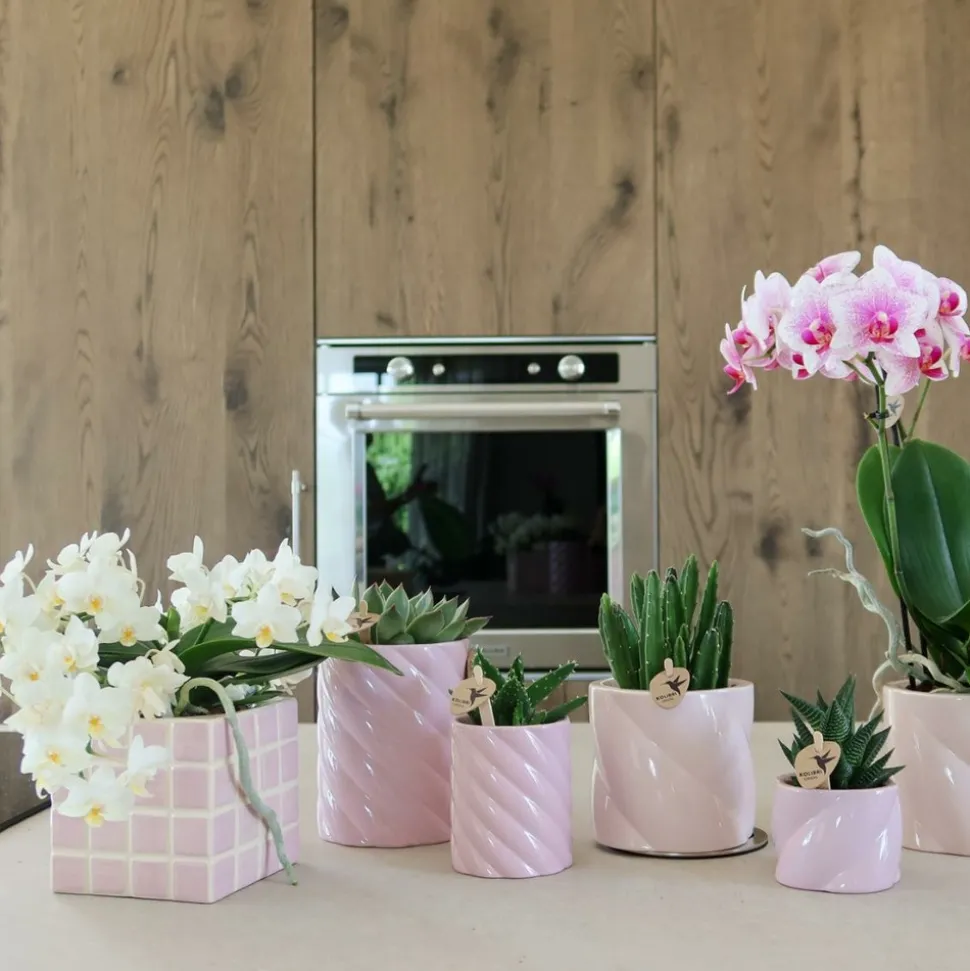 LA GREEN TOUCH - Pot décoratif mosa rose