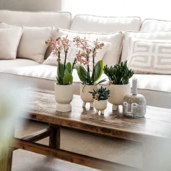 LA GREEN TOUCH - Pot décoratif diabolo travertine