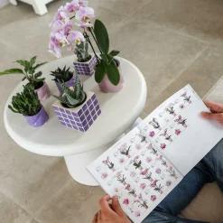 LA GREEN TOUCH - Pot décoratif mosa lilac