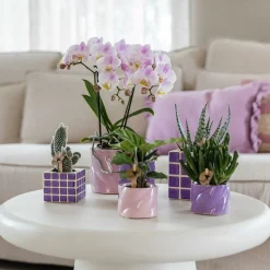 LA GREEN TOUCH - Pot décoratif mosa lilac