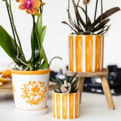 LA GREEN TOUCH - Pot décoratif painted stripe - orange