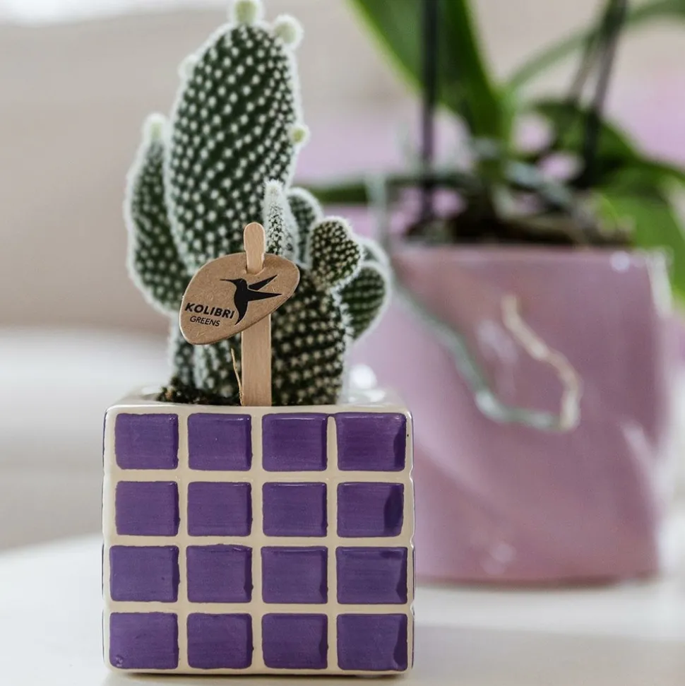 LA GREEN TOUCH - Pot décoratif mosa - lilac