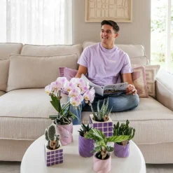 LA GREEN TOUCH - Pot décoratif mosa - lilac