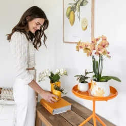 LA GREEN TOUCH - Pot décoratif fish jaune - petit modèle