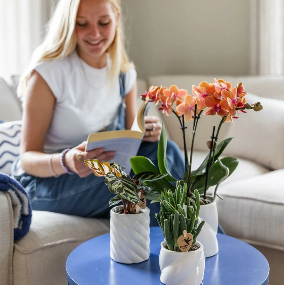 LA GREEN TOUCH - Pot décoratif candy blanc