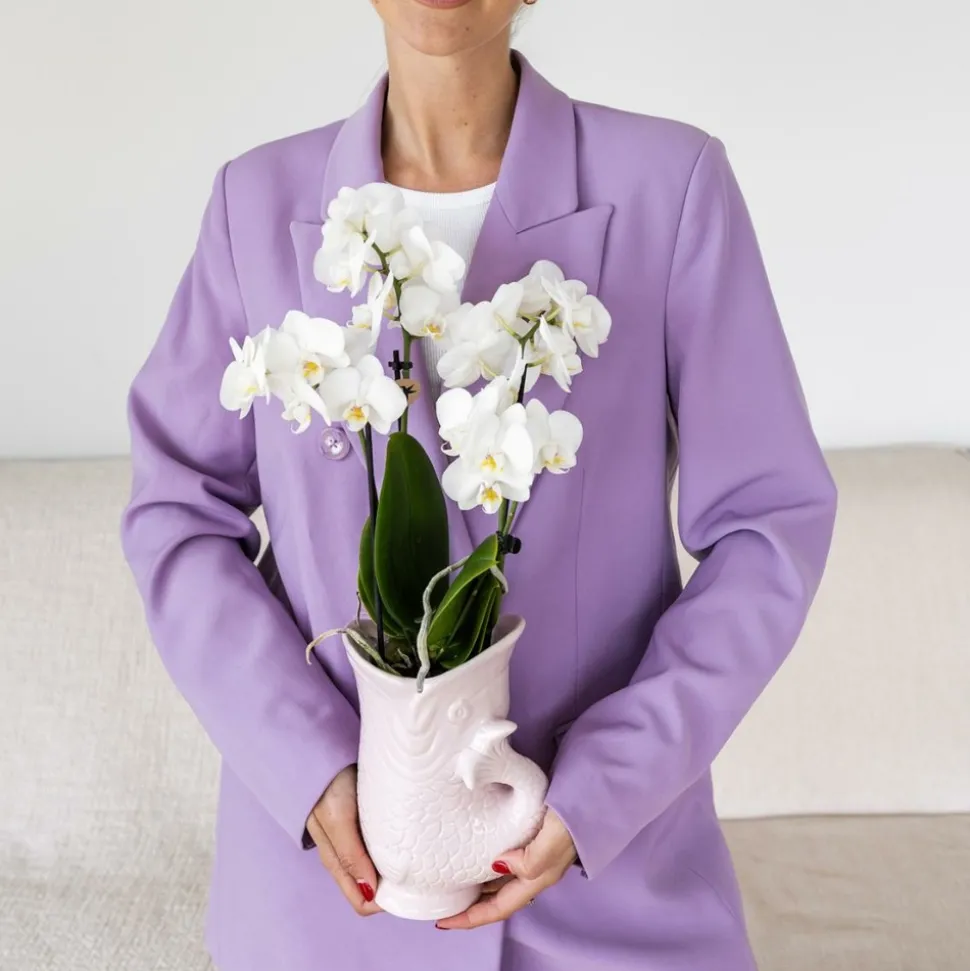 LA GREEN TOUCH - Pot décoratif fish rose