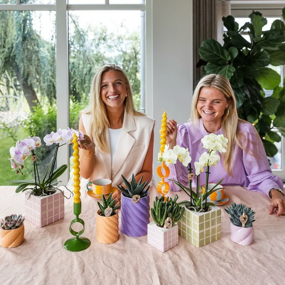 LA GREEN TOUCH - Pot décoratif candy lilas