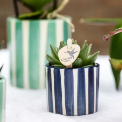 LA GREEN TOUCH - Pot décoratif painted stripe - bleu