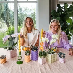 LA GREEN TOUCH - Pot décoratif peach candy