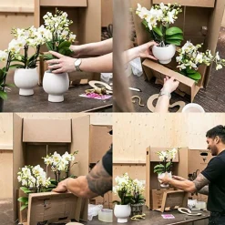 LA GREEN TOUCH - Pot décoratif elite argenté