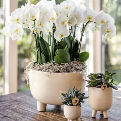 LA GREEN TOUCH - Pot décoratif gummy travertine