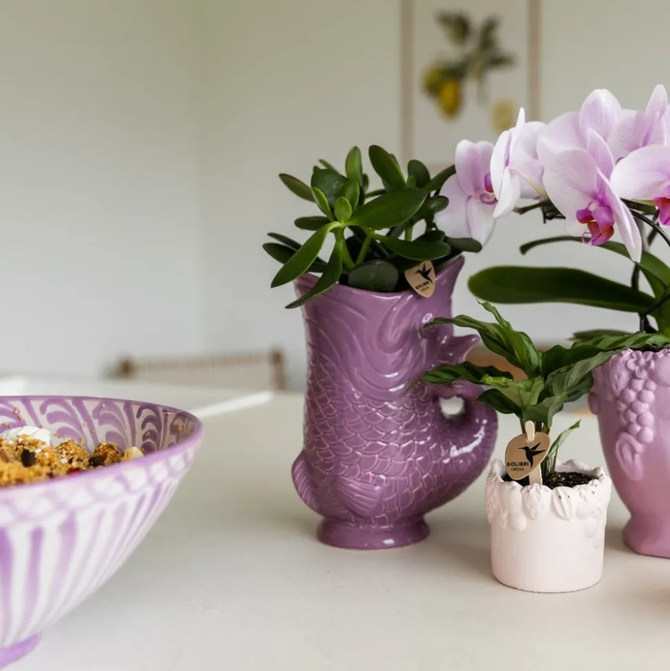 LA GREEN TOUCH - Pot décoratif fish - lilas